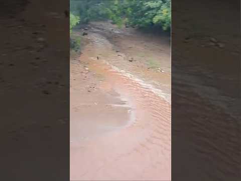 andando nas estradas do sertão registrando uma linda chuva terra nova Pernambuco