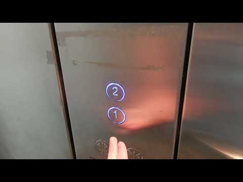 Small name, big chassis: ThyssenKrupp Evolution MRL traction elevator 083 at UQ Cumbrae-Stewart (72)