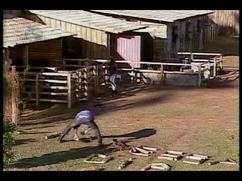 A Fazenda Theo Becker VS Dado Dolabella