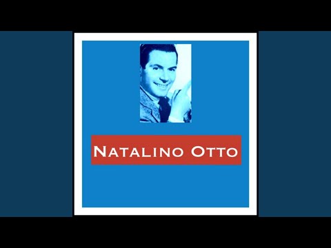 Op, op trotta cavallino