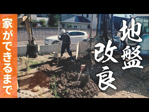 若い木を杭打ちするのは義務ですか？「はい」ですか、「いいえ」ですか？木を杭打ちする必要があるかどうかを評価するにはどうすればよいですか?  庭園