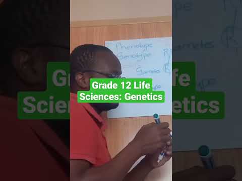 Grade 12 Genetics: Monohybrid cross - complete dominance. Full video on my channel #grade12 #matric