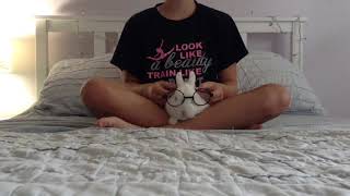 Harry Potter in 99 seconds BUNNY EDITION!