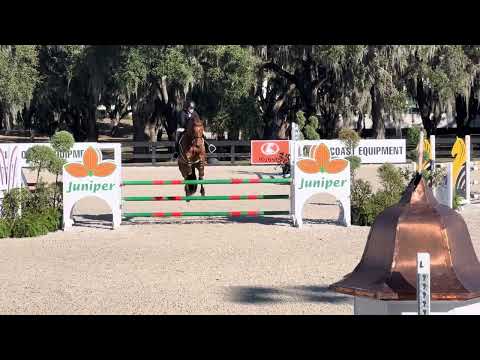 Maclay Medal: 6th out of 20+ at WEC Winter Spectacular, Week 6, on Brio