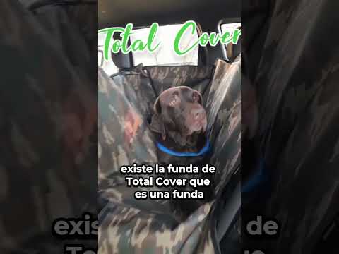 Miniatura de YouTube