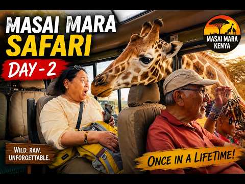 Our Masai Mara Safari, Day-2 #tibetanvlog #travel #masaimaranationalpark #safari #wildlife #kenya