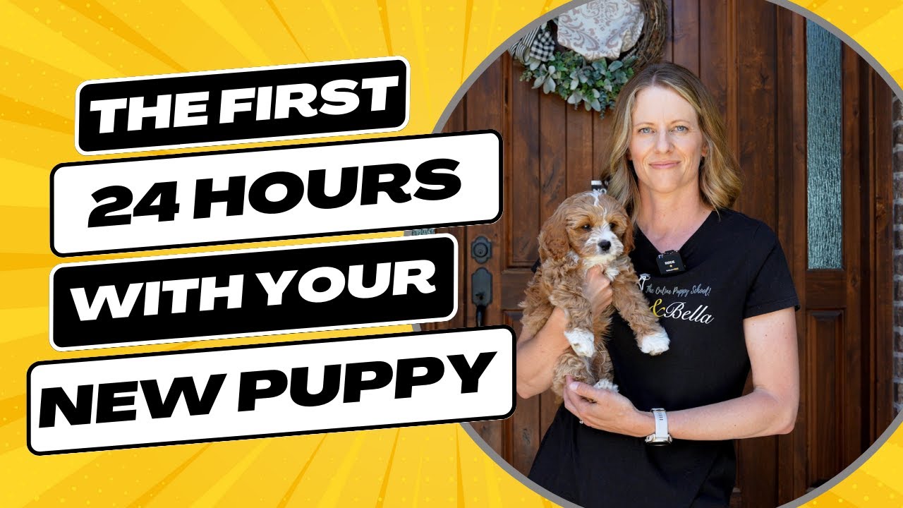 Your New Puppy's First Day: Essential Guide to a Smooth Transition