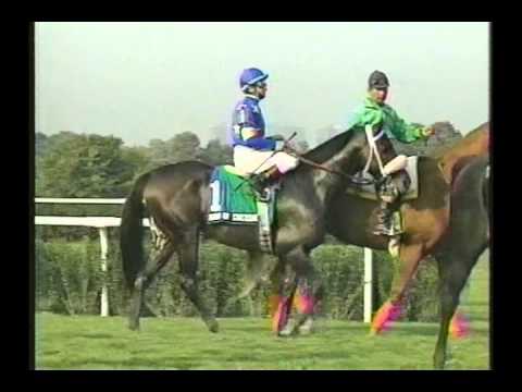1993 Turf Classic Invitational Stakes - ESPN Broadcast