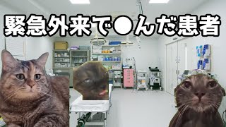 【猫ミーム】●は唐突に訪れるもの・・・葬儀社にアルバイトとして勤めていたお話その70