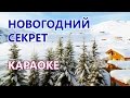 Караоке (минус) новогодней песни "Новогодний секрет" (Всё сбудется). 