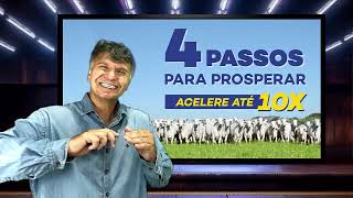 OS 4 PASSOS PARA PROSPERAR  ATÉ 10X MAIS RÁPIDO.