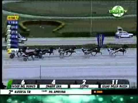 corsa 2 aversa trotto del 16/04/14