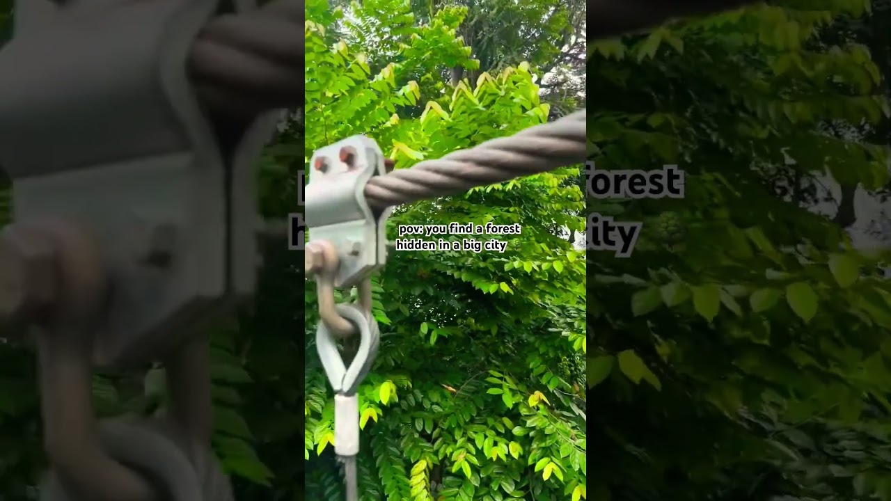 YouTube Short thumbnail