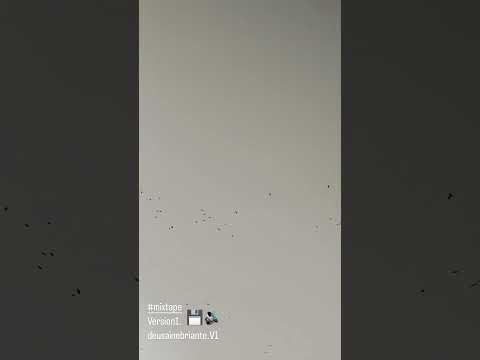 Deusa Inebriante (Demo) - Julia Mestre