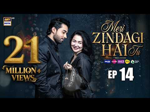 Meri Zindagi Hai Tu Episode 14