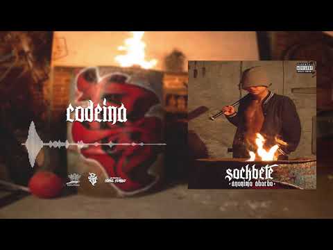 6.- SOCK BT   CODEINA