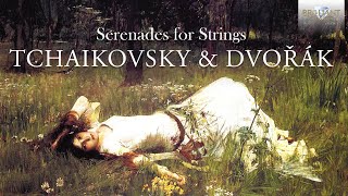 Tchaikovsky & Dvořák: Serenades for Strings
