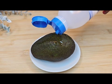 Just Pour Alcohol on the Avocado  and You'll Never Suffer Again. 😱
