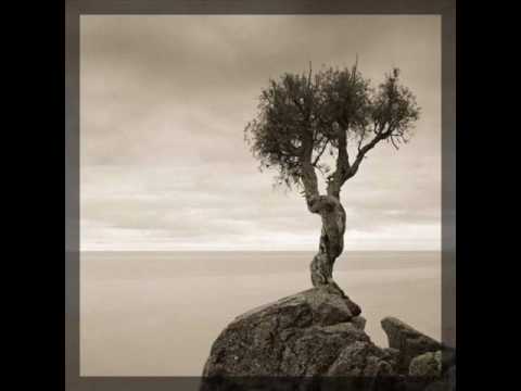 T buck - Jaunėlis Brolis