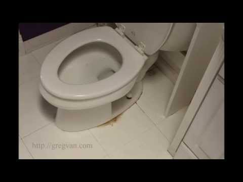 image-Why does the toilet leak at the base?