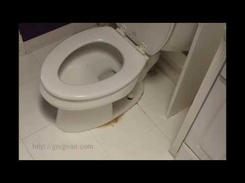 Watch This Video If You Have Water Leaking at Bottom of Toilet โ Home Repair Tips