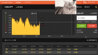 【FX】1万円から始める為替取引【BO】65