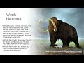 Ice Age Animals Of New York State