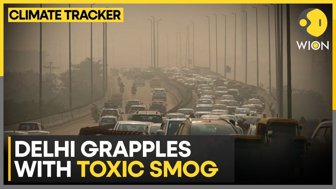 Delhi Grapples with Toxic Smog as Air Quality Reaches Severe Levels | WION Climate Tracker