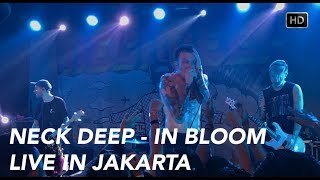 Neck Deep - In Bloom (Live in Jakarta) HD