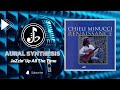 Chieli Minucci - Renaissance