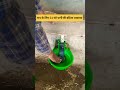Automatic Water Bowl Excellent 24 Hour Water Supply For Cows Dr Pankaj Mahore Dairy
