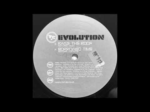 TC & Sub Focus - Borrowed Time