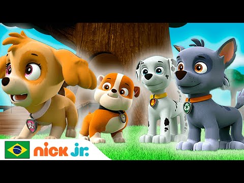 Capa de Patrulha Canina | Os filhotes salvam o dia! Coletânea de 20 minutos | Nick Jr. em Português