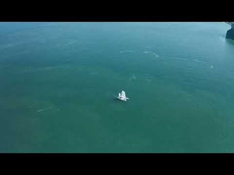 feelings -Kamijima Eco Tourism-  60sec. Short ver.