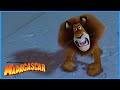 Alex Throws A Tantrum DreamWorks Madagascar