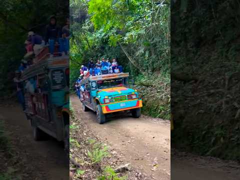 Asi se viaja en #chivas desde la vereda la mina hacia Teruel departamento del Huila cargada de #café