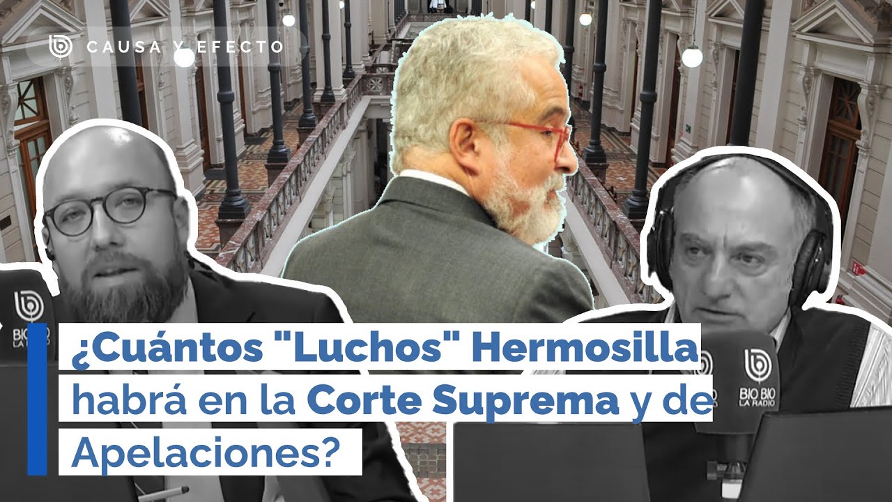 ¿Cuántos "Luchos" Hermosilla habrá en la Corte Suprema y de Apelaciones?