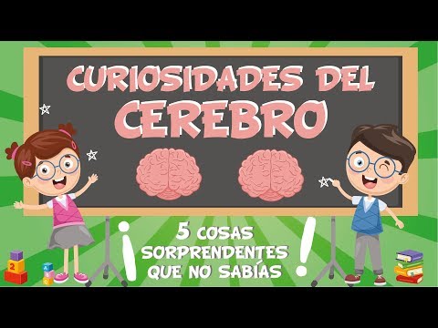 5 COSAS QUE NO SABÍAS DEL CEREBRO | CURIOSIDADES FASCINANTES PARA NIÑOS