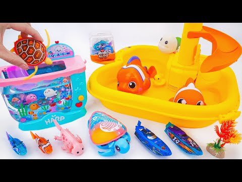 Toy ASMR | Unboxing RC NiNo Fish & Shark Attack Fishing Game! 🎣🦈 Catch the Fish & Race the Sharks!