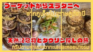 ［プーケットからスラタニへ]天然記念物とタウリン探しの旅‼️ไปกินหอยนางรมและแมงดาทะเลกันทีจังหวัดสุราษฎร์ธานีนะค่ะ🦪