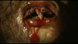 future shock - see you in hell