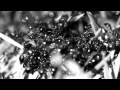 Lisbon Kid - Event Horizon featuring Hafdis Huld
