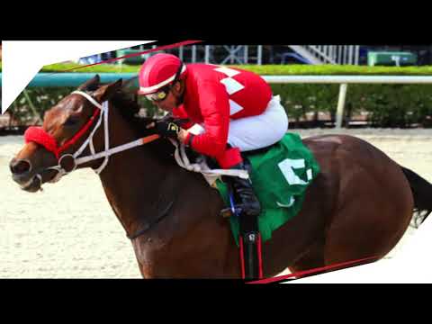 Letruska gana el Houston Ladies Classic Stakes