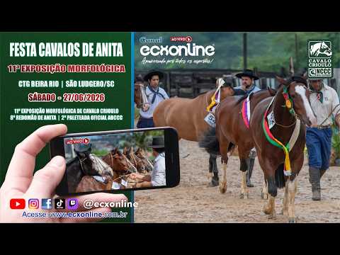 11ª EXPOSIÇÃO MORFOLÓGICA | FESTA CAVALOS DE ANITA 2025 | SÃO LUDGERO - SC
