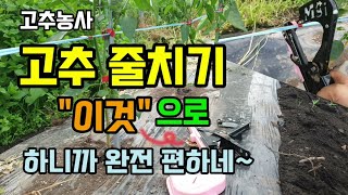 고추농사 고추줄 비바람에 안쓰러지게 결속기로 빠르고 쉽게 치는 방법 원예용결속기 고추줄띄우기