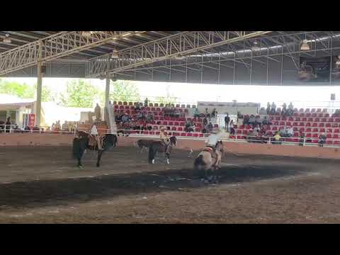 Terna de salvador y Juan antonio Muñoz Reynoso