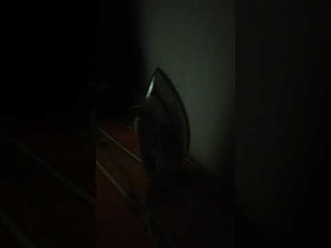 mimicry of dogs 😂😂🐶