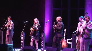 The Roys - Still Standing