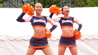 【チアリーディング】イベントに花を添えるチアリーディング