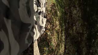 Wrangler camo cargo pants Fleece relax fit Walmart cost $24.97